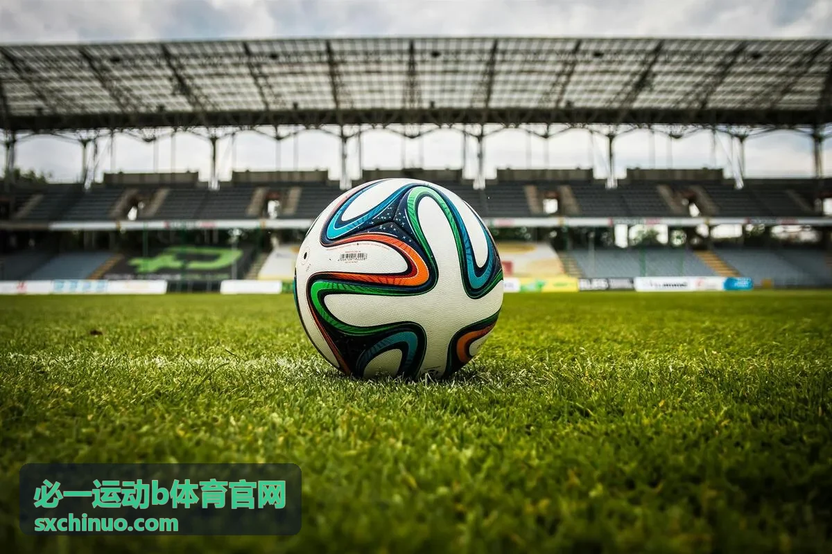 必一运动b体育 羽毛球活动场景