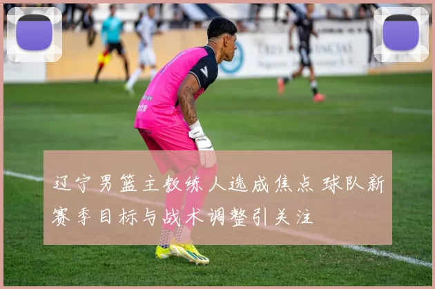 辽宁男篮主教练人选成焦点 球队新赛季目标与战术调整引关注